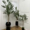 ⁦עץ זית מלאכותי⁩ – תמונה ⁦4⁩