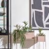 ⁦אדנית ״סווידיש״ (2 צבעים, 2 מידות) FLOR⁩ – תמונה ⁦2⁩